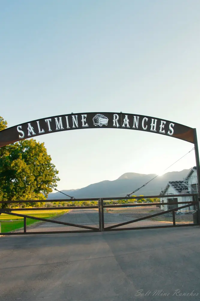 Salt Mine Ranch photo 1