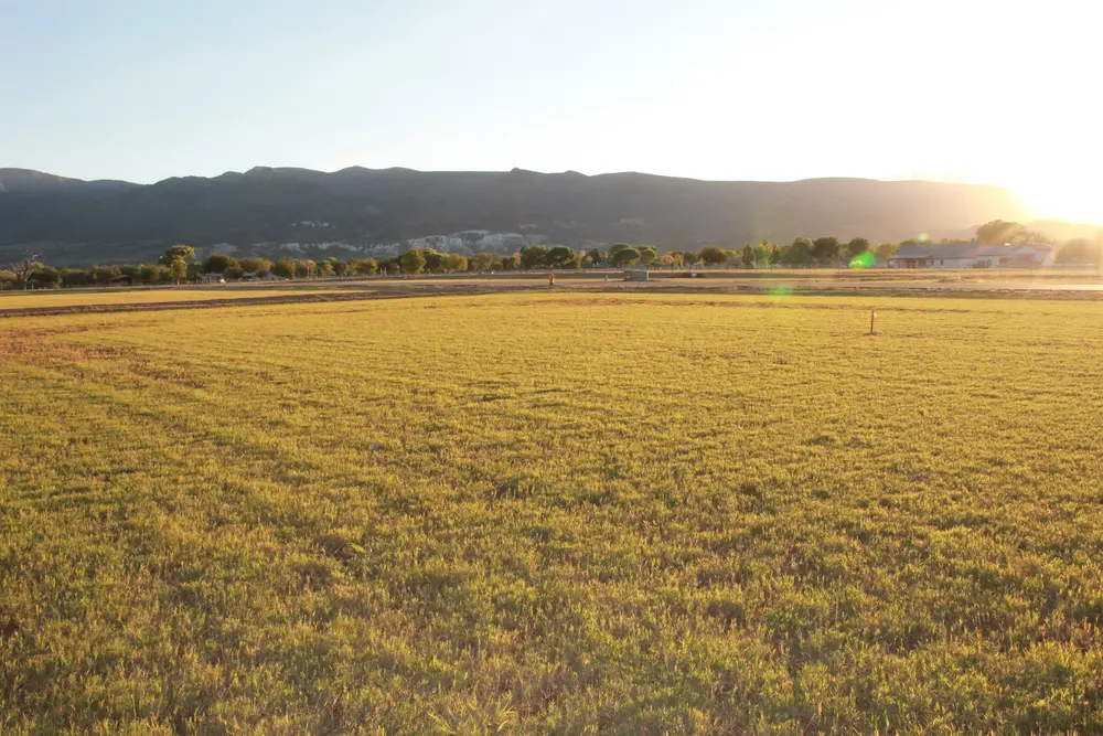 Salt Mine Ranch photo 13