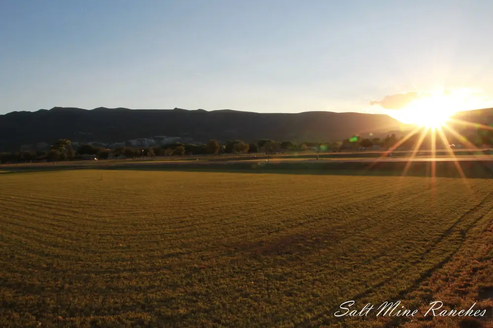 Salt Mine Ranch photo 29