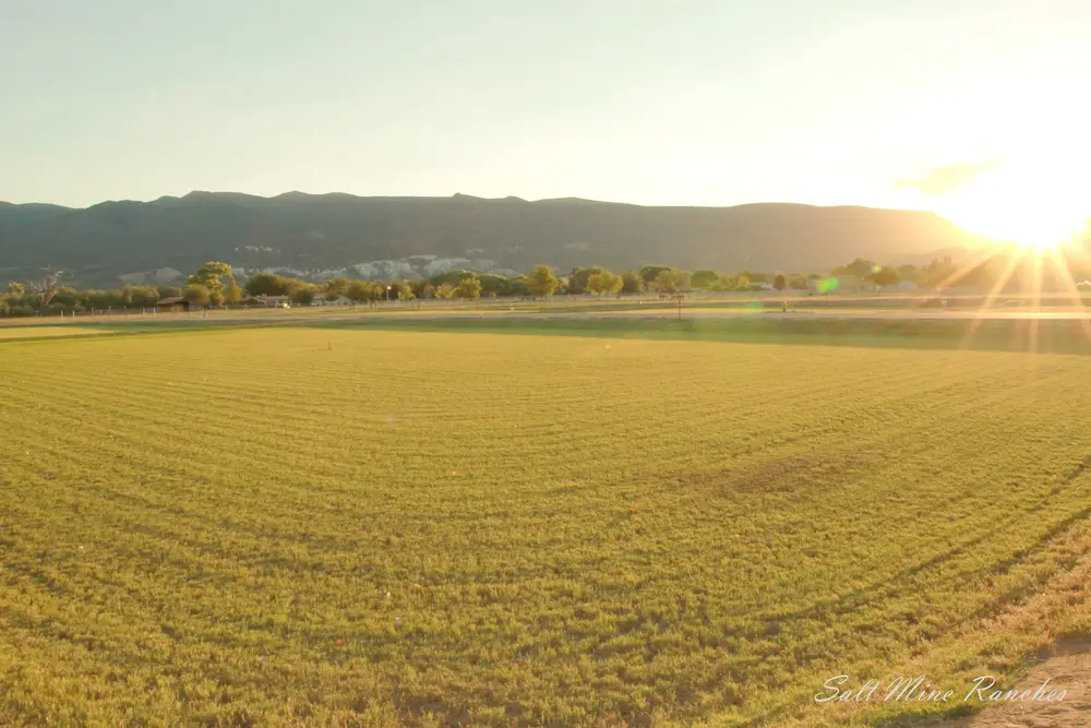 Salt Mine Ranch photo 30