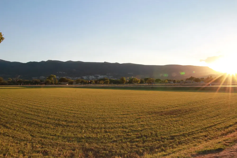 Salt Mine Ranch photo 31