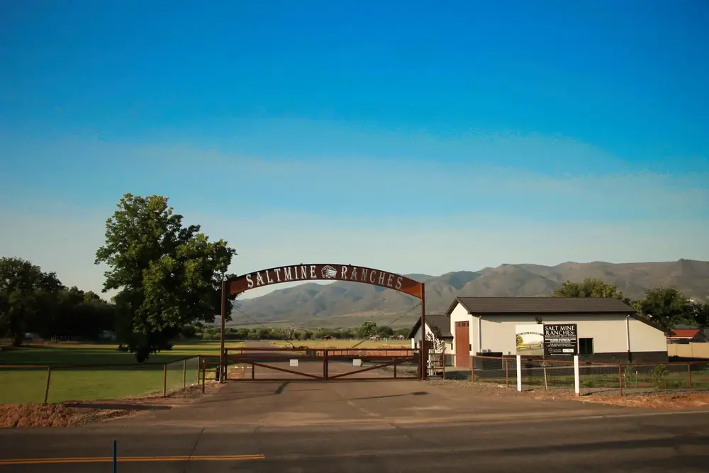 Salt Mine Ranch photo 60